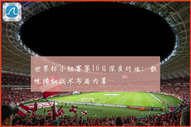 世界杯小组赛第16日深度对话：教练揭秘战术布局内幕