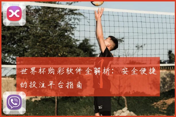 世界杯购彩软件全解析:安全便捷的投注平台指南