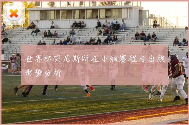 世界杯突尼斯所在小组赛程与出线形势分析