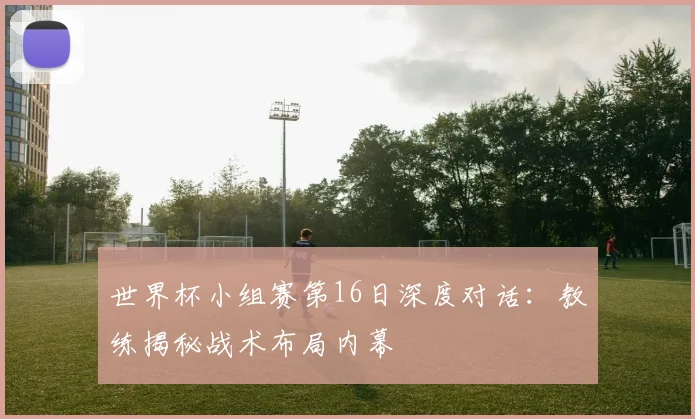 世界杯小组赛第16日深度对话:教练揭秘战术布局内幕